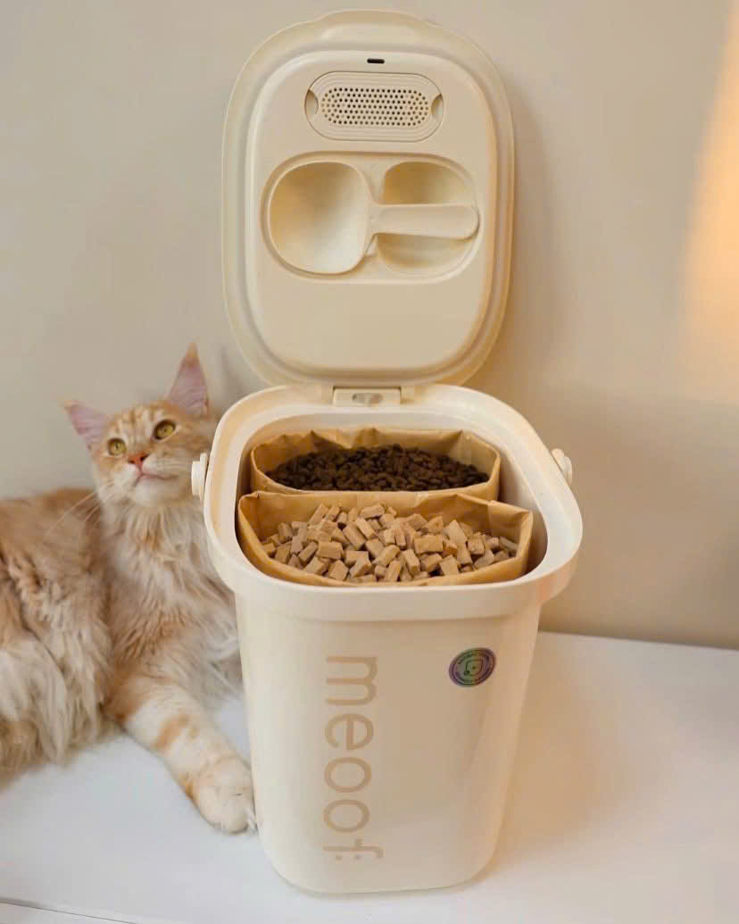 Thùng hút chân không Meoof bên cạnh mèo