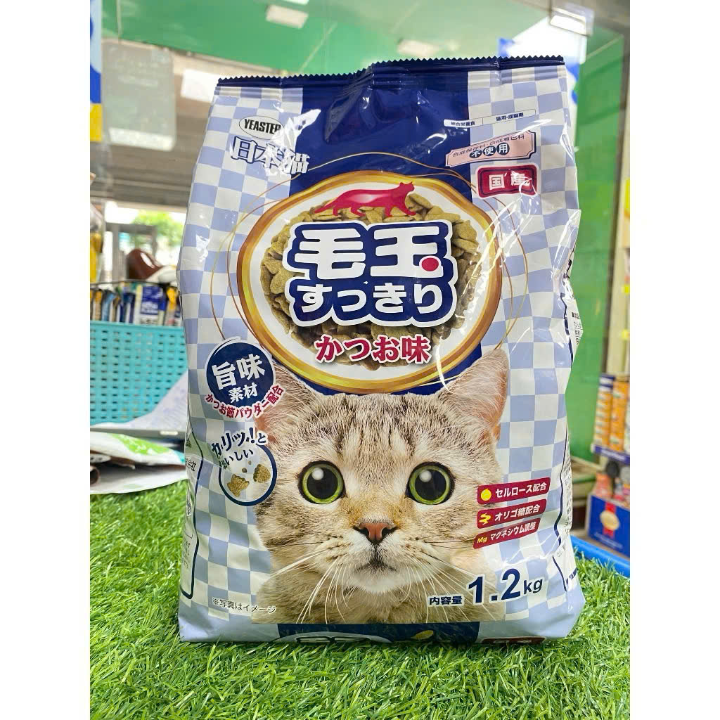 Nihonneko Katsuo