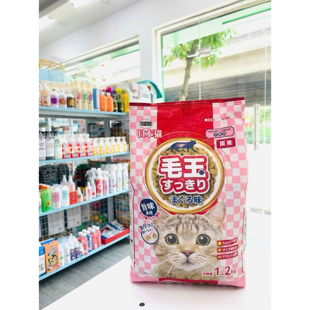 Nihonneko Maguro